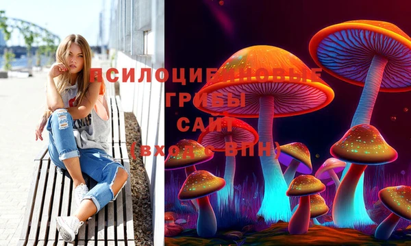 ECSTASY Заволжск