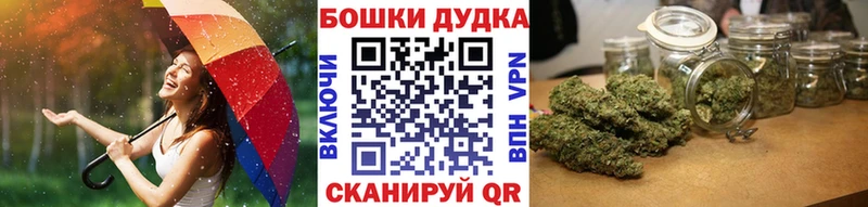 Конопля ГИДРОПОН  Купить где  Белоозёрский 